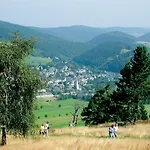 Edelweiss 'bergzeit' De Luxe Mit Hotelanbindung, Saunalandschaft Und Meinecardplus Apartmán *