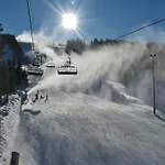 Edelweiss 'bergzeit' De Luxe Mit Hotelanbindung, Saunalandschaft Und Meinecardplus Lejlighed Willingen (Upland)