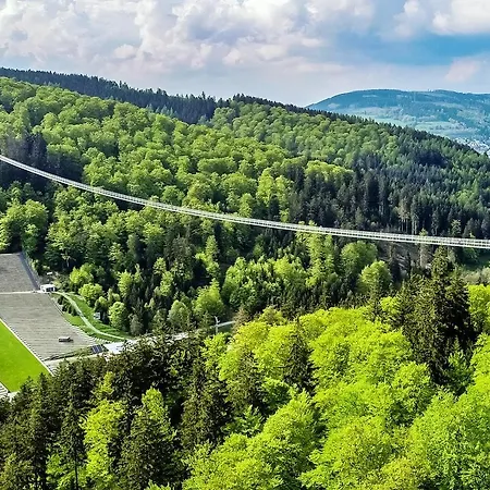 Edelweiss 'bergzeit' De Luxe Mit Hotelanbindung, Saunalandschaft Und Meinecardplus Apartmán Willingen (Upland)