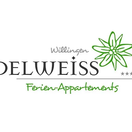 Apartmán Edelweiss 'bergzeit' De Luxe Mit Hotelanbindung, Saunalandschaft Und Meinecardplus