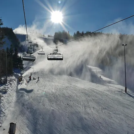 Edelweiss 'bergzeit' De Luxe Inkl Wellness-spa Und Meinecardplus Apartment Willingen (Upland)