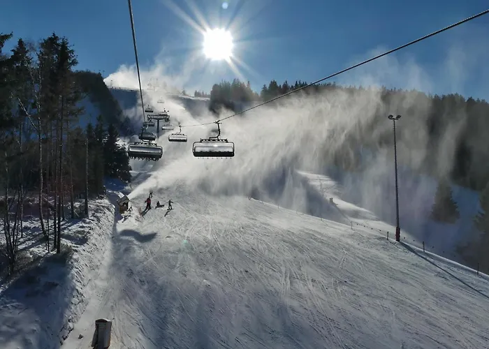 Edelweiss 'bergzeit' De Luxe Inkl Wellness-spa Und Meinecardplus 公寓 维林根